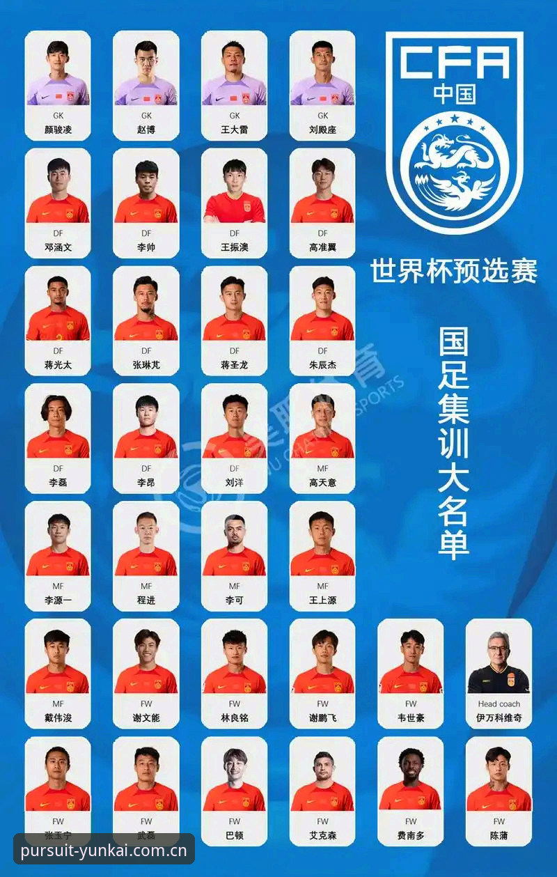 足协第三批禁足名单公布最新动态：云开体育平台深度解析行业洗牌